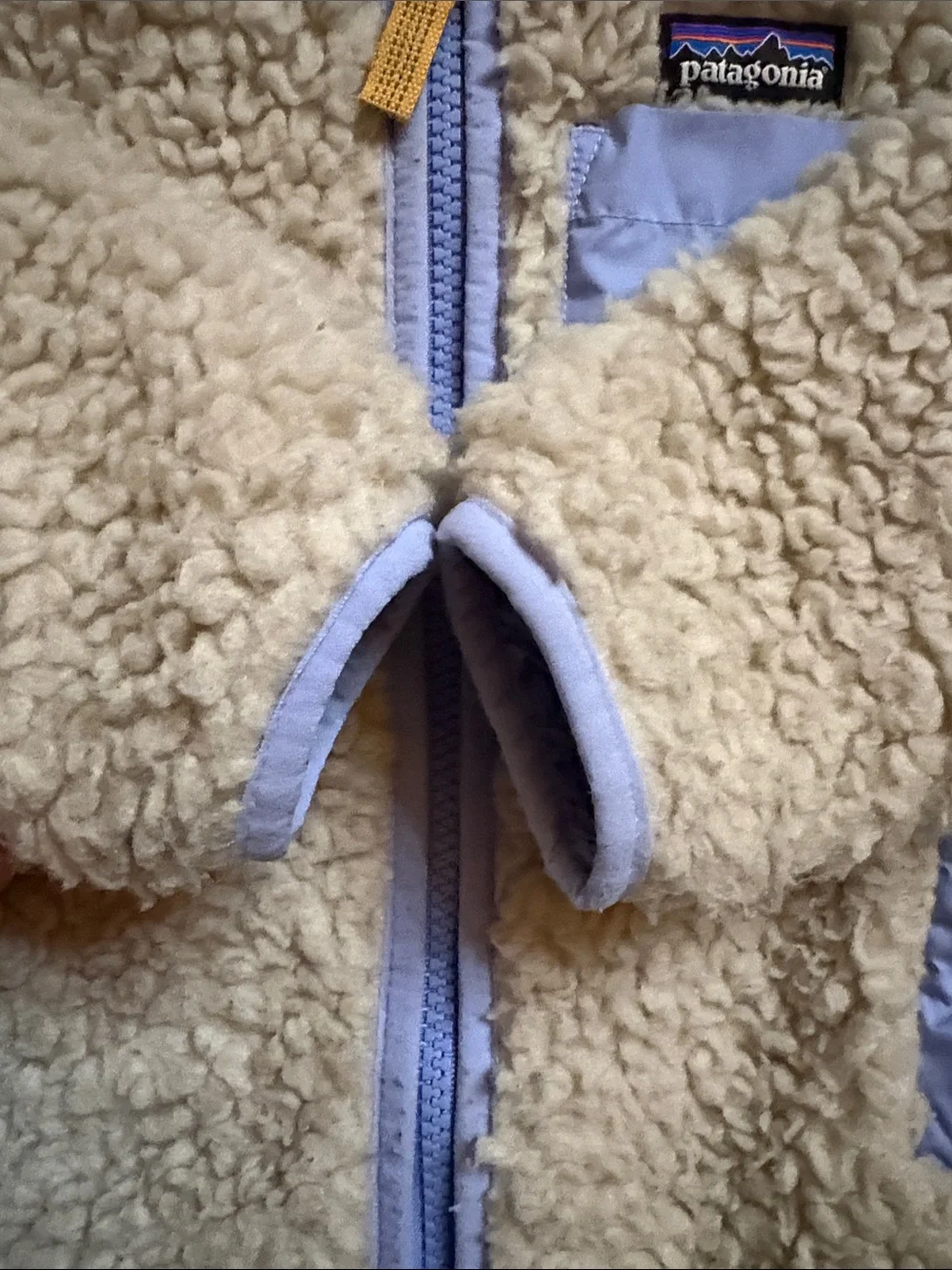 Patagonia Kids shepraFleece Jacket (2T)